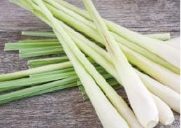 Amla Laguna interior photo 2 — Thai massage in Phuket