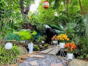 Funky Spa massage shop photo 12