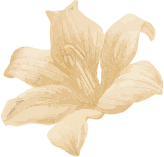 Outcall massage by sky interior photo 2 — Thai massage in Pattaya