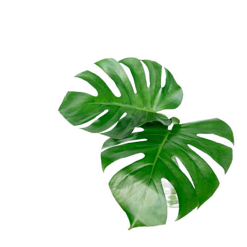 Rina spa Nuru massage Bangkok ヌルマッサージ interior photo 3 — Nuru in Bangkok