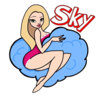 Sky massage massage shop photo 7