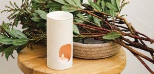 White Wood Green Spa & Wellness massage shop photo 8