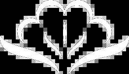 Boossabakorn Spa & Wellness massage shop photo 7