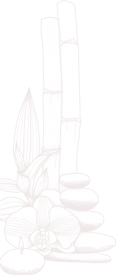 Thai Best Massage - Chiang Mai 2 massage shop photo 6