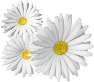 Thai Best Massage - Chiang Mai 2 massage shop photo 10